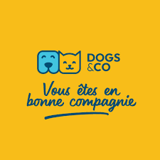 Logo de Démo